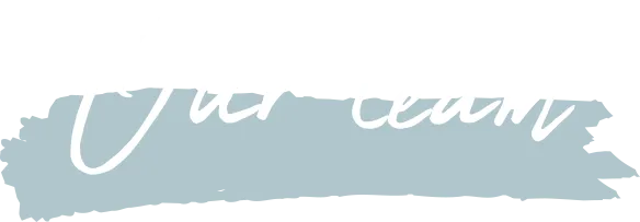 Our team